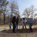 Planting seedlings in the primary school Rajko Zinzifov Skopje-3