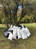 Cleaning action for the locality Camp on Lake Mavrovo - 7